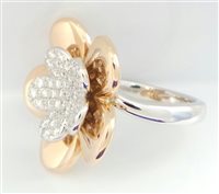 Anillo Giorgio Visconti Mujer in Oro Diamante 0.51 Ct AX12533-14 - AX12533-14